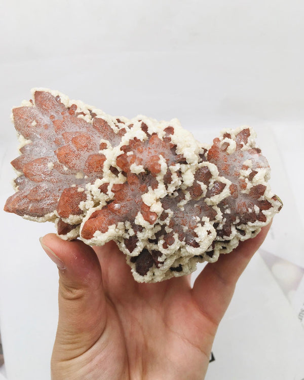 Nature Stone Red Cluster Mix Pyrite And Dolomite Specimen