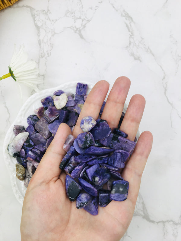 DL-31505 Nature Stone Charoite Chips